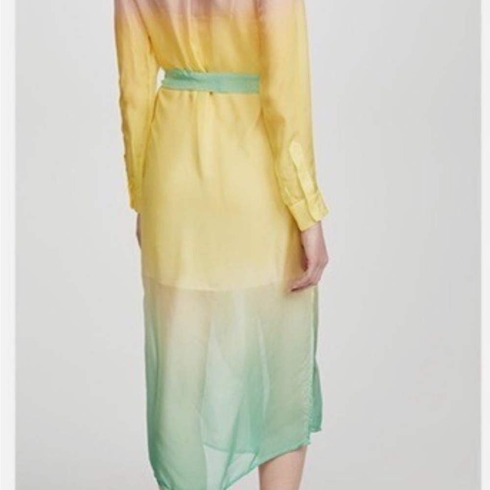 Le Superbe Silk dress